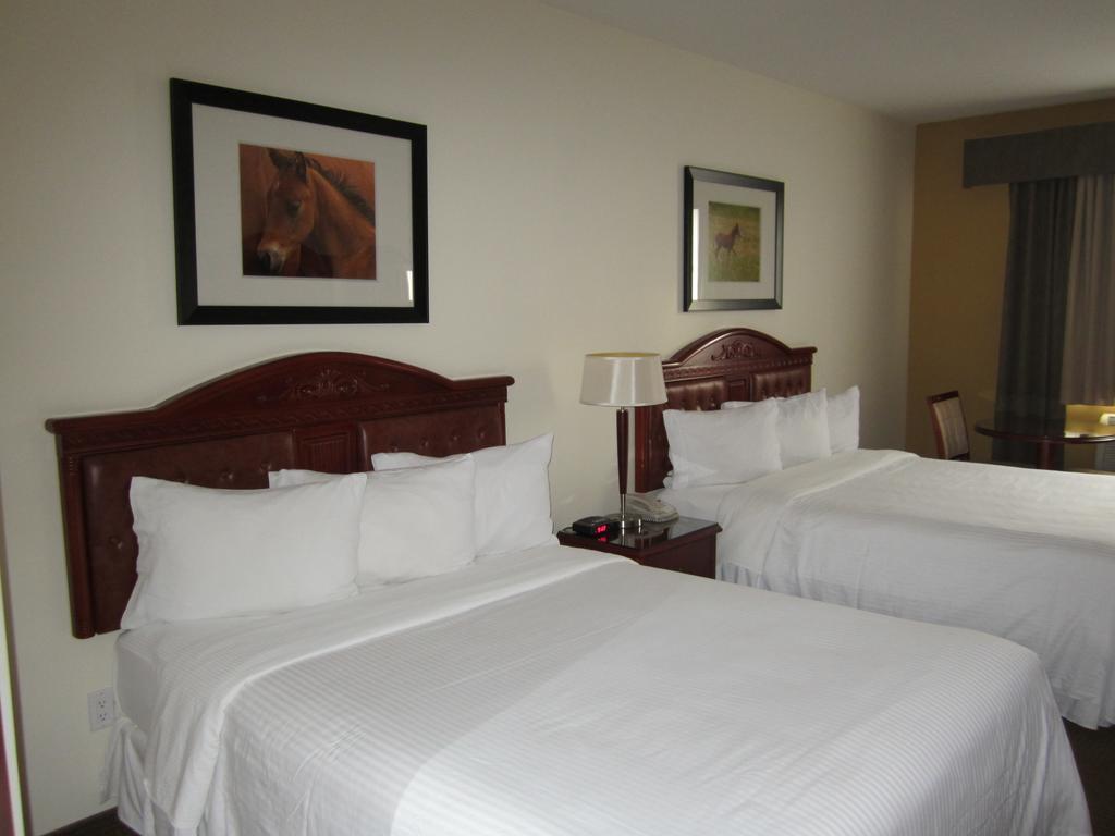 Trend Mountain Hotel & Conference Centre Tumbler Ridge Quarto foto